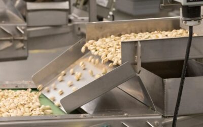 Pistachio Processing Automation