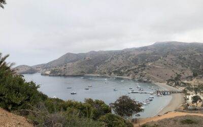 Catalina Island: Remote Site Instrumentation and SCADA Upgrade