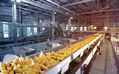 How Automation Is Transforming Food Processing Facilities