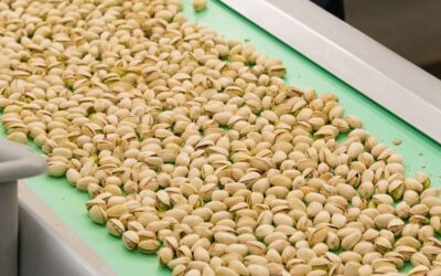 From Shell to Shelf: Automation Process for Pistachios